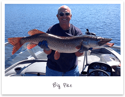 Catch Northern Pike at Frog Rapids Camp